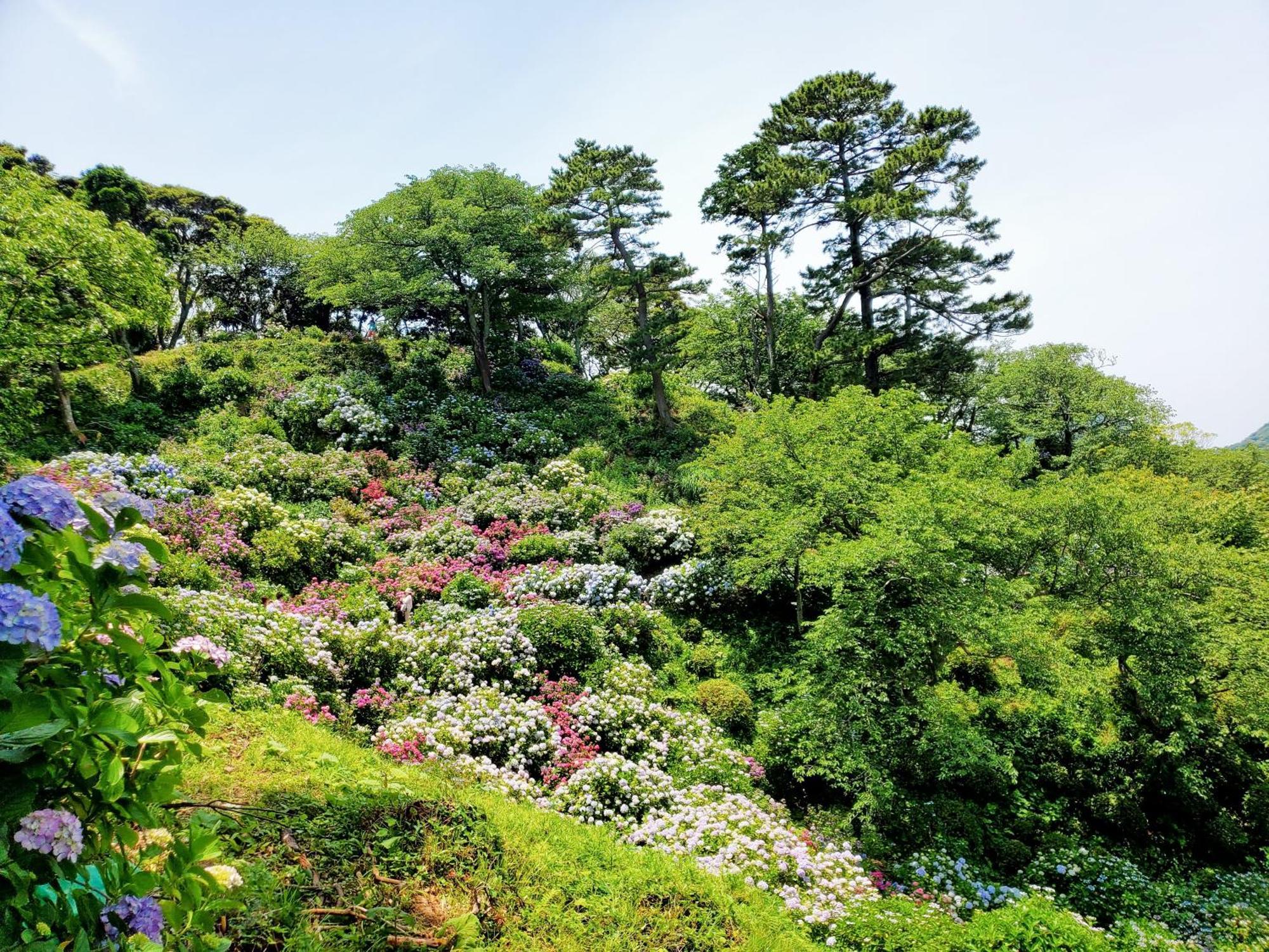 Ｋａｏｒｕ　Ｉｎｎ Villa Minamiizu Exteriör bild